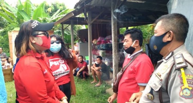 48c41776-623e-4a10-b71c-5f00e3e33379_533x300