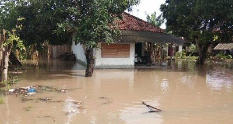 74c67fb7-068d-42a6-a114-79f768128a78_400x300