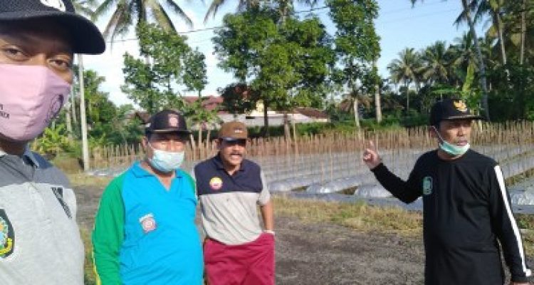 85e36082-6b7e-444e-a0bf-f3739feefb54_400x300