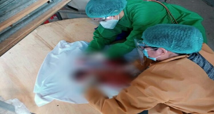 747f250f-1fc6-4620-bff5-f09cb7f5c66b