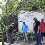 84d2b330-8191-4700-8515-dadd7eda1f3a_533x300