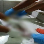 Point Blur_Mar302021_084152_copy_600x300