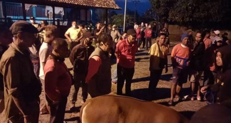 Ket poto: Ketua Satgas PMK Kabupaten Karangasem pantau pembukaan Pasar Hewan Bebandem