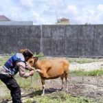 Anyconv.com 1da862d0 6500 4410 Bd78 Aba967a8c1b1