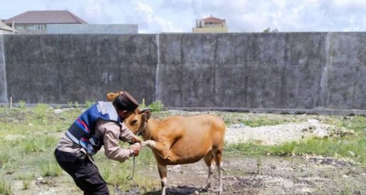 Anyconv.com 1da862d0 6500 4410 Bd78 Aba967a8c1b1