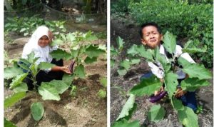 Img 20221112 Wa0047 1