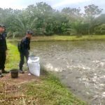 Img 20221119 Wa0223