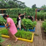 Img 20221120 Wa0021 Img 20221120 Wa0021