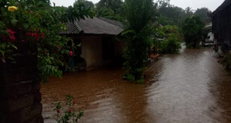 Img 20221129 Wa0001 Img 20221129 Wa0001