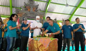 Img 20221120 21124232