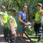 Anyconv.com A7034873 F159 4c3f 889e A405c28d3b52