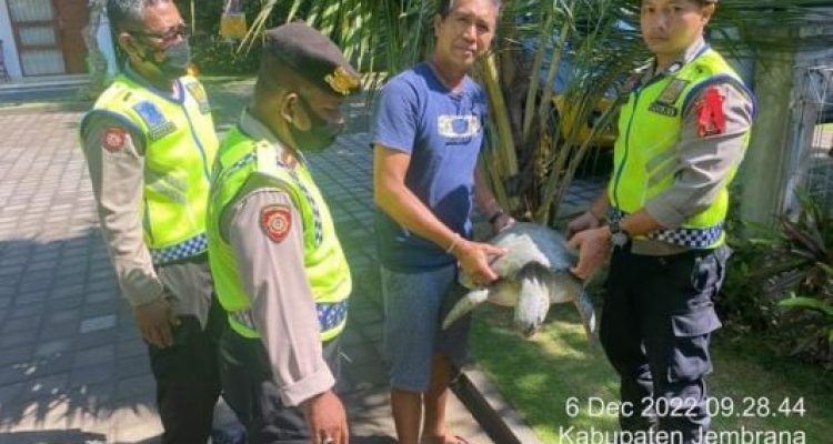 Anyconv.com A7034873 F159 4c3f 889e A405c28d3b52