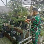 Img 20221204 Wa0301 Img 20221204 Wa0301