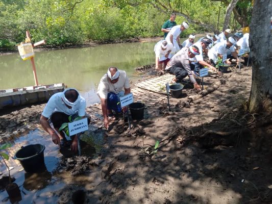 Img 20221210 Wa0012 Img 20221210 Wa0012