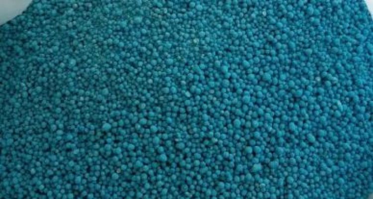 Img 20221229 Wa0024 Img 20221229 Wa0024