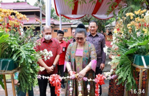 Screenshot 20221229 192200