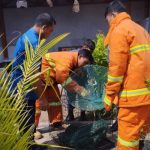 11ddecfd B801 410f A704 0f3f3b361fb0 11zon