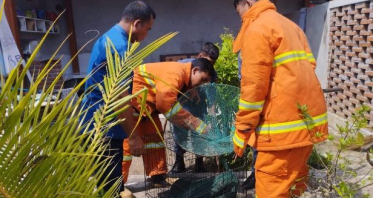 11ddecfd B801 410f A704 0f3f3b361fb0 11zon