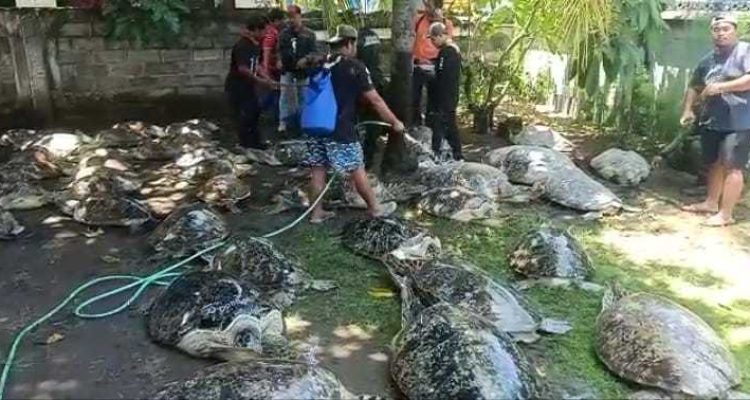 Anyconv.com Af91f757 30fe 4560 Bff7 C4a32e4c944a