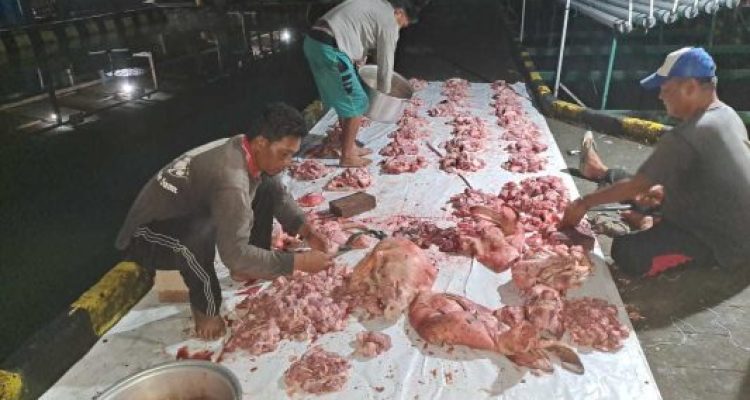 Anyconv.com Bb795ce5 D3c4 476e A1da C3608a17864a