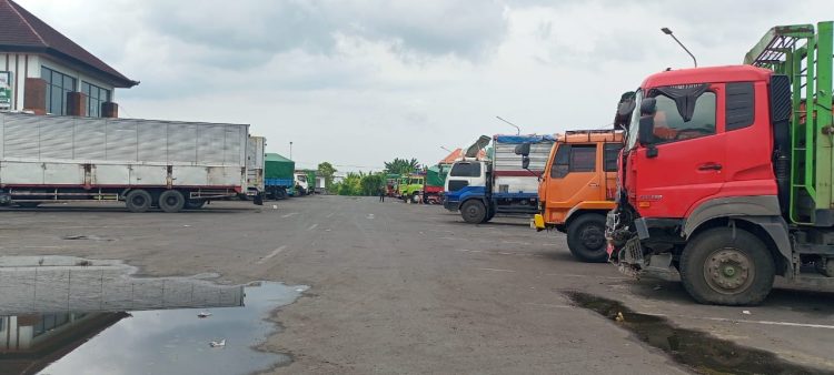 4edcf06e 3789 4d65 958f 7c8cbc54cc71 11zon