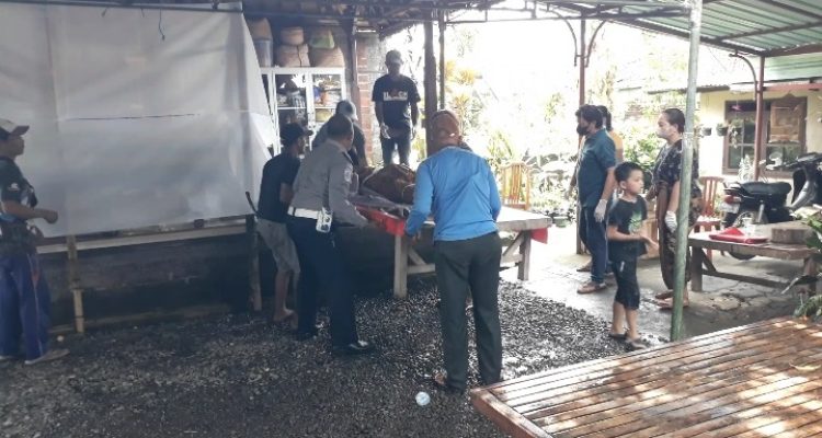 F6d3af46 Cbb8 42a7 A38e Eda367fd7647 11zon