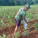 Img 20230306 Wa0253 Img 20230306 Wa0253