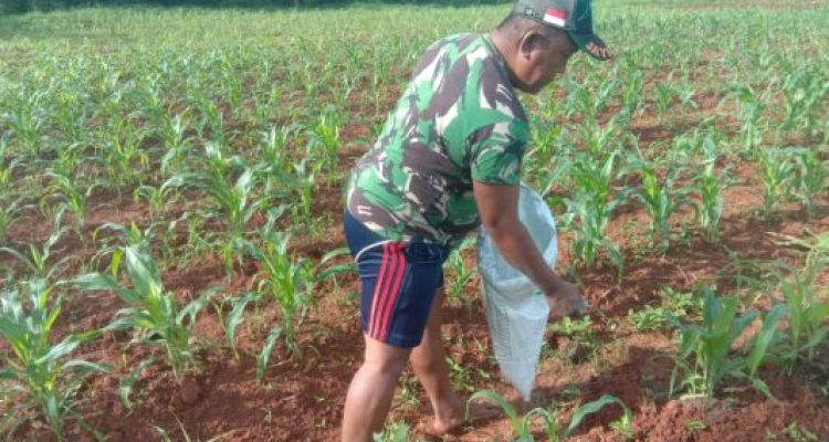 Img 20230306 Wa0253 Img 20230306 Wa0253