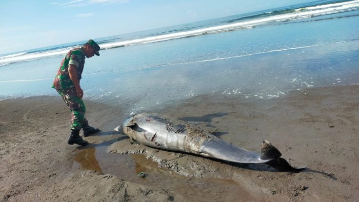 Cfb6cf3e 8c85 43a4 8496 8ffc5fc4ffb8