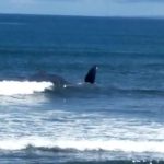 Whatsapp Image 2023 04 08 At 14.44.07