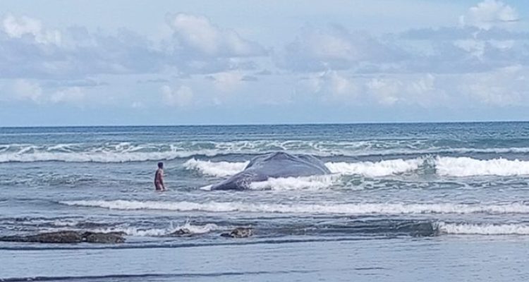 Whatsapp Image 2023 04 08 At 19.59.39