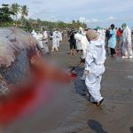 Whatsapp Image 2023 04 09 At 19.14.43