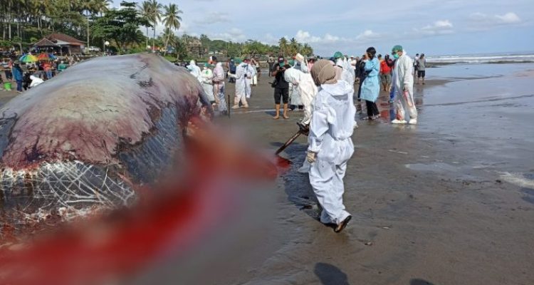 Whatsapp Image 2023 04 09 At 19.14.43