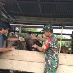 Img 20230506 Wa0318