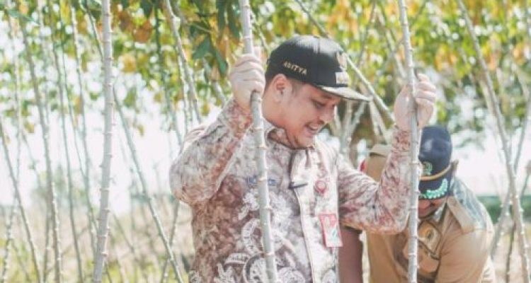 Ket poto: Walikota Banjarbaru Aditya Mufti Ariffin