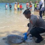 Whatsapp Image 2023 05 18 At 17.07.04