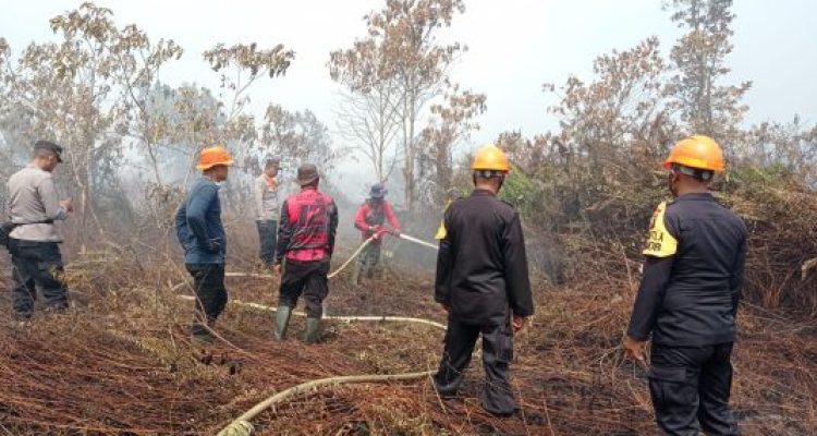 Img 20230602 Wa0085 Img 20230602 Wa0085