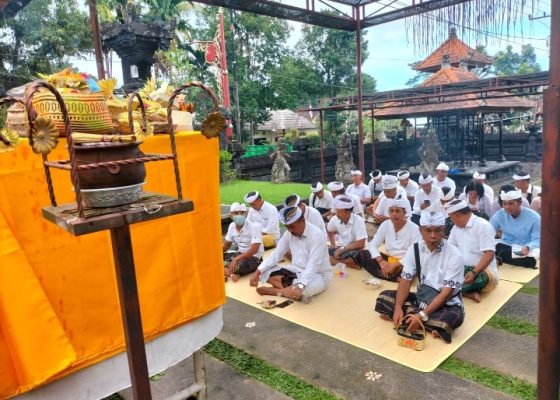 Screenshot 20230603 095717