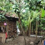 Ket poto: tempat korban gantung diri di pohon jambu air