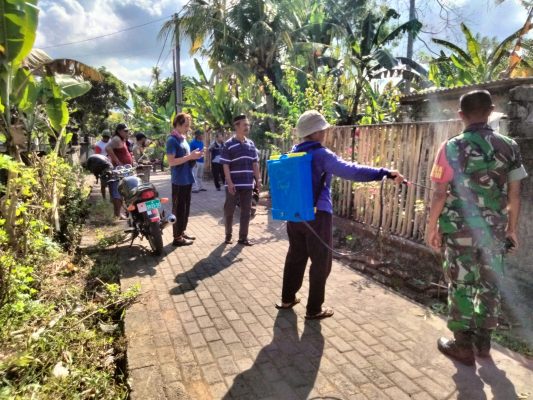 Ket poto: Warga Banjar Tegalbadeng melakukan penyemprotan untuk membasmi serangan ulat bulu