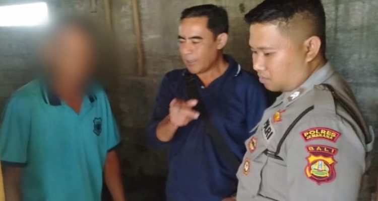 Ket poto: Pelaku pencurian daun gong kuno berhasil ditangkap Polsek Pekutatan