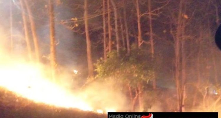 Img 20230723 234959 Img 20230723 234959