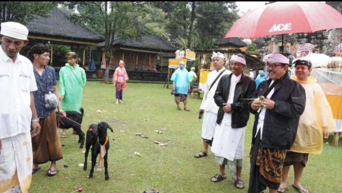 Screenshot 20230702 203920