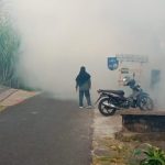 Ket poto: Petugas Puskesmas Jembrana melakukan foging di Banjar Palunganbatu, Desa Batuagung, Kecamatan Jembrana