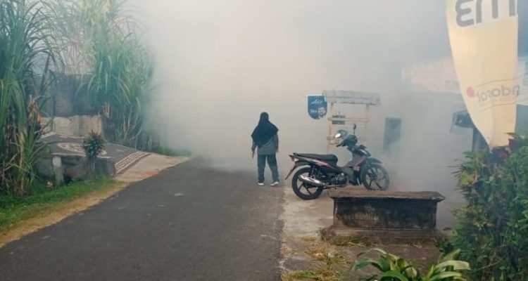 Ket poto: Petugas Puskesmas Jembrana melakukan foging di Banjar Palunganbatu, Desa Batuagung, Kecamatan Jembrana