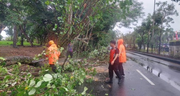 Ket poto: Pohon roboh di Jalan Jendral Sudirman tepatnya disebelah Timur SPBU Kepuh.