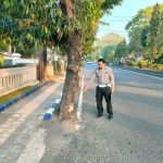 Ket poto: Lokasi korban menabrak pohon dan ditabrak oleh kendaraan tak dikenal hingga meninggal dunia