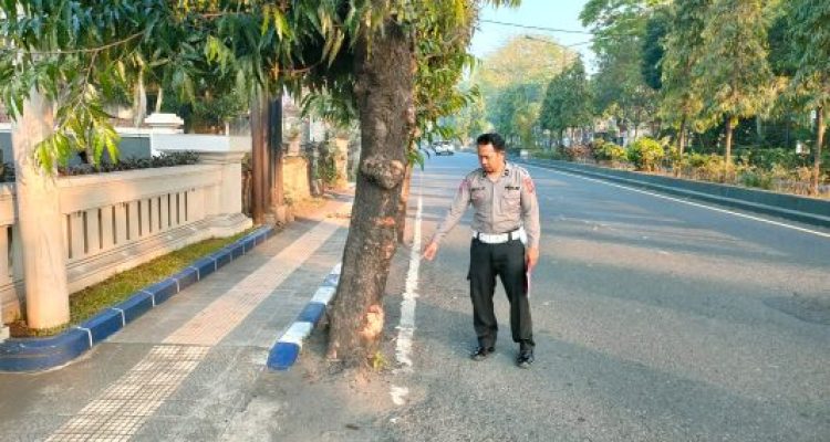 Ket poto: Lokasi korban menabrak pohon dan ditabrak oleh kendaraan tak dikenal hingga meninggal dunia