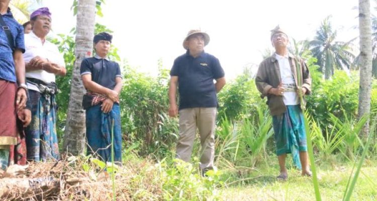 Ket poto: Bupati Jembrana I Nengah Tamba pantau abrasi di Pantai Candikusuma Ket poto: Bupati Jembrana I Nengah Tamba pantau abrasi di Pantai Candikusuma