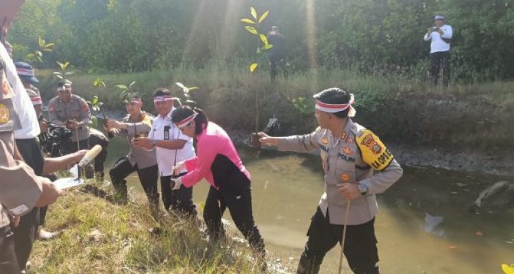 Ket poto: Kegiatan penanaman ribuan bibit pohon mangrove di Budeng, Kecamatan Jembrana Ket poto: Kegiatan penanaman ribuan bibit pohon mangrove di Budeng, Kecamatan Jembrana